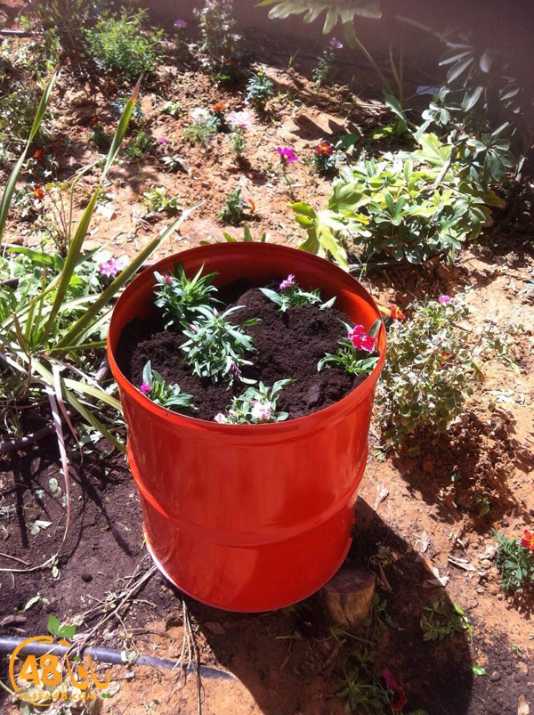 a3mal tayeba 7san3arafa (2).JPG